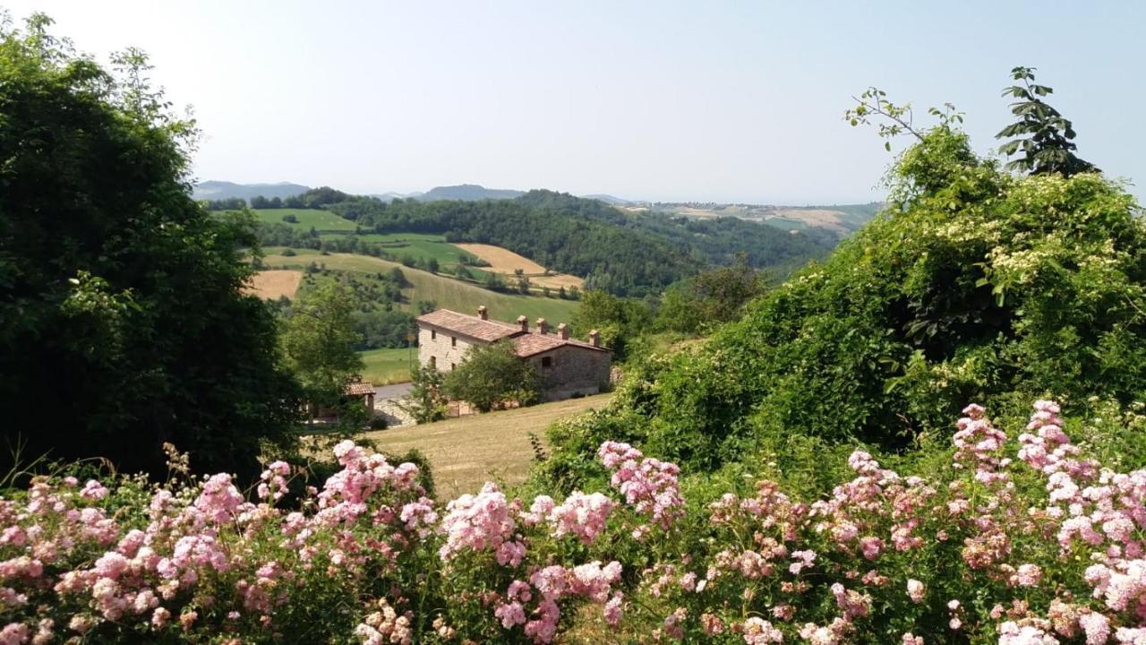 Ca' Noeva Bed & Breakfast Valverde  Exterior photo